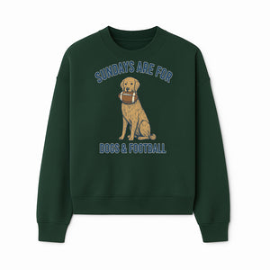 Sundays Are for Dogs & Football Graphic Tee - Perfect Dog Lover Gift for Game Day and Pet Enthusiasts - Sweatshirt 1758559995718.jpg