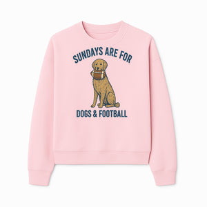 Sundays Are for Dogs & Football Graphic Tee - Perfect Dog Lover Gift for Game Day and Pet Enthusiasts - Sweatshirt 1758559996094.jpg