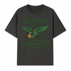 Sundays Are for the Birds Football Tee | Eagles Fan Shirt | Game Day Apparel | Sports Graphic T-Shirt for NFL Lovers - T-shirt 1758559996293.jpg