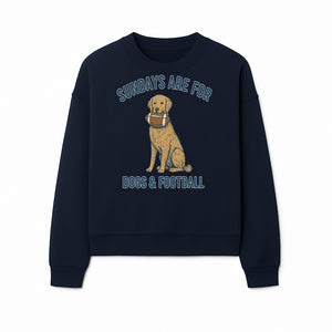 Sundays Are for Dogs & Football Graphic Tee - Perfect Dog Lover Gift for Game Day and Pet Enthusiasts - Sweatshirt 1758559996347.jpg