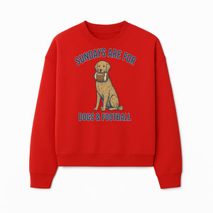 Sundays Are for Dogs & Football Graphic Tee - Perfect Dog Lover Gift for Game Day and Pet Enthusiasts - Sweatshirt 1758559996516.jpg
