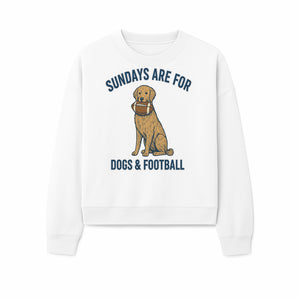 Sundays Are for Dogs & Football Graphic Tee - Perfect Dog Lover Gift for Game Day and Pet Enthusiasts - Sweatshirt 1758559996755.jpg