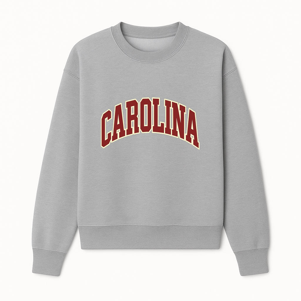 Vintage Carolina Wall Art Sign, Retro College Decor, Sports Team Home Decoration, Ideal Gift for Fans and Alumni - Sweatshirt 1758681896331.jpg