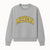 Michigan University Vintage Arch Design T-Shirt, College Apparel, Classic Fan Merchandise, Lightweight Casual Wear - Sweatshirt 1758681900034.jpg