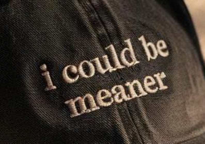 Embroidered I Could Be Meaner Baseball Hat Spicy Attitude Baseball Hat Sarcastic Hat Funny Humor Hat Sarcasm Hat Funny Quote Hat 1758775359039.jpg