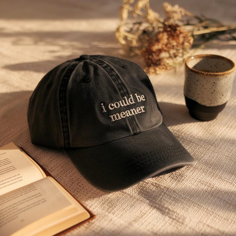 Embroidered I Could Be Meaner Baseball Hat Spicy Attitude Baseball Hat Sarcastic Hat Funny Humor Hat Sarcasm Hat Funny Quote Hat 1758775359215.jpg