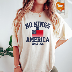 No Kings In America Sweatshirt Protest Shirt Democracy Tee Gift For Anti Maga Patriotic Tee Liberal Shirt Political Tee 1761363045599.png