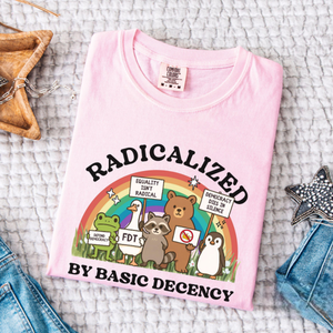 Radicalized By Basic Decency Goose Shirt Human Rights Shirt Protest Rally Abolish Ice Shirt Social Justice 1761709907618.png