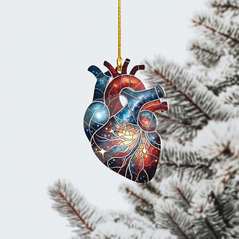 Anatomical Heart Christmas Ornament Galaxy Design Medical Gift 1762486985289.jpg