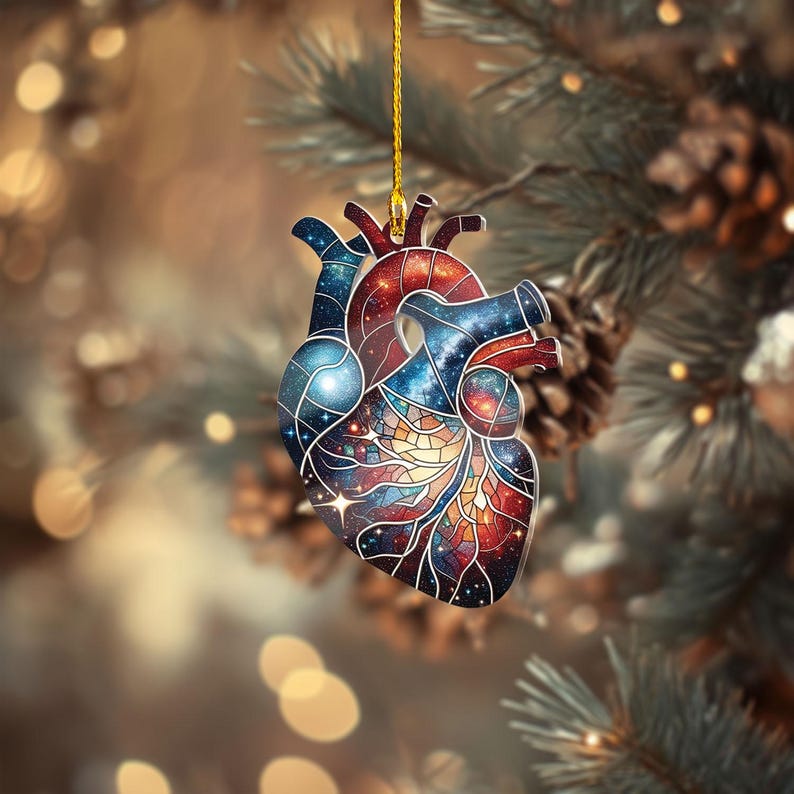 Anatomical Heart Christmas Ornament Galaxy Design Medical Gift 1762486985872.jpg