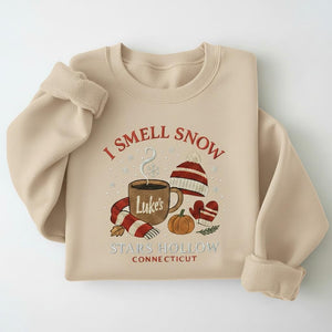 Embroidered I Smell Snow Sweatshirt Cozy Small Town Christmas Crewneck Book Lover Gift Winter Woman Christmas Hoodie Connecticut Shirt 1762848708209.jpg