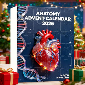 2025 Anatomy Advent Calendar Christmas Advent Calendar 24 Days With Human Organs As Ornaments Mini Models Of Human Organs 1763006287820.jpg