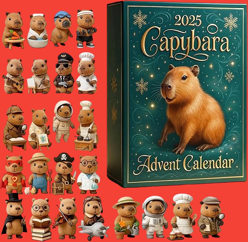 Capybara Advent Calendar 2025 24 Day Holiday Countdown Box Cute Collectible Figures Festive Gift Idea 1763367394626.jpg