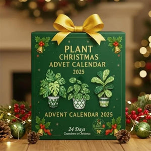 Plant Advent Calendar Green Tree Figurines Classic Holiday Decor Unique Green Look Festive Countdown Calendar Christmas Collectible 1763368232376.jpg