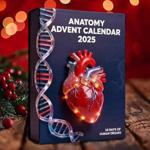 Anatomy Advent Calendar 2025 Gift For Med Student Doctor Nurse Gift Human Organ Decor Biology Christmas Gift Anatomy Ornament Set 1763368410939.jpg