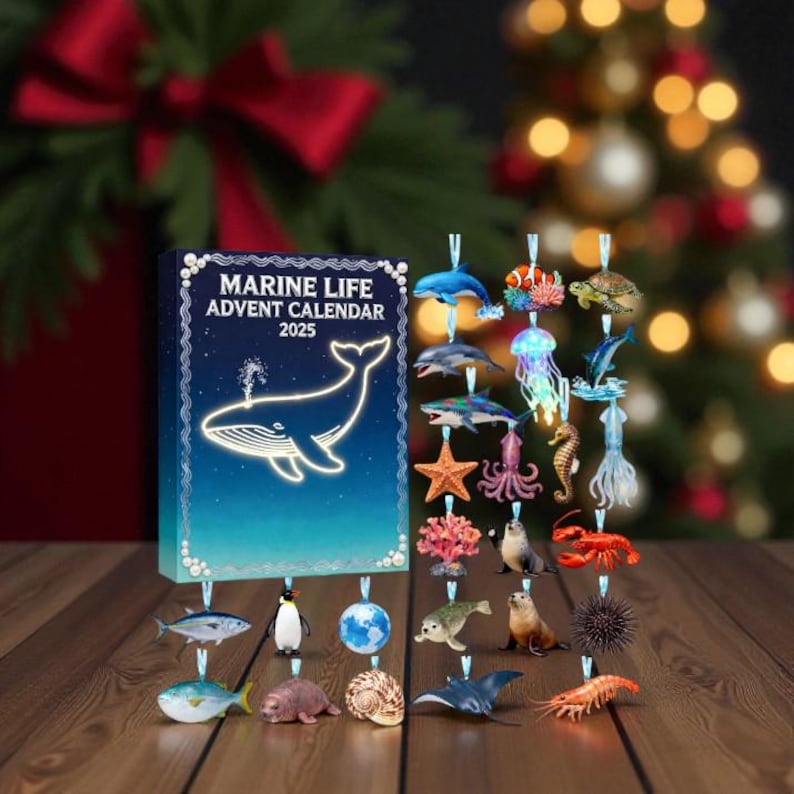 Marine Life Advent Calendar 2025 24 Day Ocean Lover Countdown Box Sea Animal Acrylic Gift Christmas Advent Calendar For Nature Lovers 1763459892100.jpg
