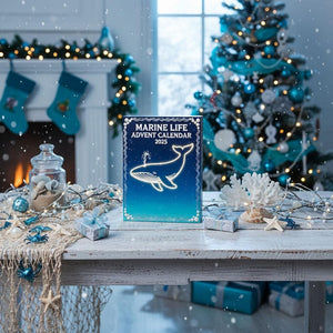 Marine Life Advent Calendar 2025 24 Day Ocean Lover Countdown Box Sea Animal Acrylic Gift Christmas Advent Calendar For Nature Lovers 1763459892250.jpg