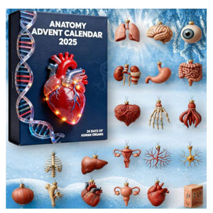 2d Acrylic Anatomy Advent Calendar 2025 24 Day Of Human Organs Anatomy Blind Box Decoration Acrylic Pendant Xmas Gift 1763520502673.jpg