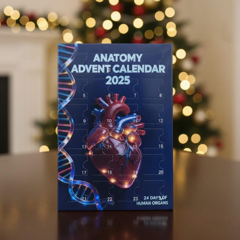 2d Acrylic Anatomy Advent Calendar 2025 24 Day Of Human Organs Anatomy Blind Box Decoration Acrylic Pendant Xmas Gift 1763520502700.jpg