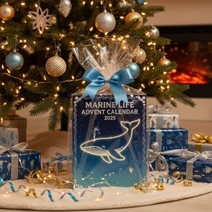 Marine Life Advent Calendar 24 Day Ocean Countdown Box Sea Animal Acrylic Holiday Christmas Ocean Science Gift For Kids 1763779515828.jpg