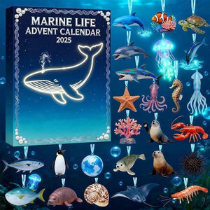 Marine Life Advent Calendar 24 Day Ocean Countdown Box Sea Animal Acrylic Holiday Christmas Ocean Science Gift For Kids 1763779515877.jpg
