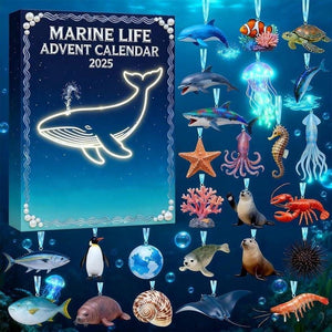 Marine Life Advent Calendar 24 Day Ocean Countdown Box Sea Animal Acrylic Holiday Christmas Ocean Science Gift For Kids 1763779515896.jpg