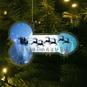 Funny Santa Sleigh Ride Christmas Ornament Gag Holiday Decor 1763960320066.jpg