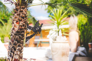 Garden Decoration Squirrel  Metal Garden Stake  Rust Garden Decoration  Garden Decor Figures  Christmas Gift Idea  Christmas Present 1765876627725.jpg