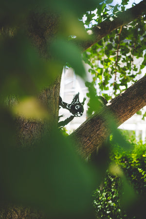 Garden Decoration Squirrel  Metal Garden Stake  Rust Garden Decoration  Garden Decor Figures  Christmas Gift Idea  Christmas Present 1765876627757.jpg