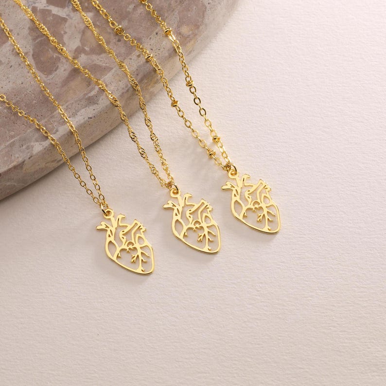 Gold Plated Dainty Anatomical Heart Pendant Necklace Real Human Heart Necklace Pendant Necklace Mom Gift Doctor Nurse Gift Gift For Her 1768201758077.jpg