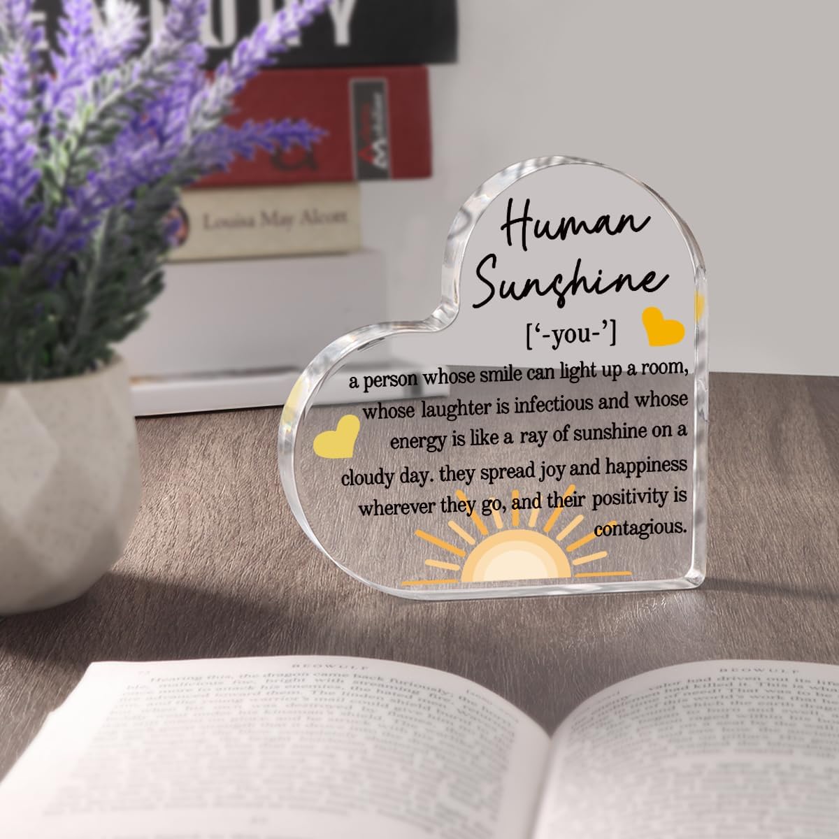 Valentines Day Thank You Gifts For Women Friends Coworkers Doctor Nurse Appreciation Gifts For Teacher Inspirational Mom Aunt Sister Daughter Stocking Stuffers Human Sunshine Home Office Desk Decor 1768878477195.jpg