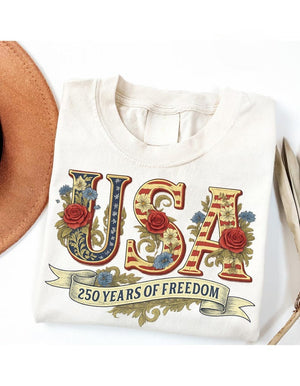Retro Usa 250 Shirt Independence Day Shirt Celebrate 250th Anniversary Shirt Usa Flag Tee 4th Of July Shirt Patriotic Gift 1771830440404.jpg