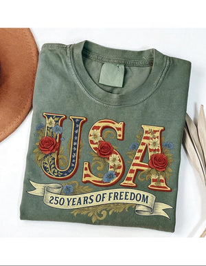 Retro Usa 250 Shirt Independence Day Shirt Celebrate 250th Anniversary Shirt Usa Flag Tee 4th Of July Shirt Patriotic Gift 1771830440422.jpg