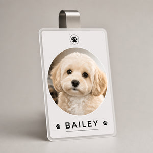 Custom Pet Photo Car Visor Clip – Name & Paw Print - Personalized Car Visor Clip 184b424c-5995-4bef-a1fc-8fb12203dab4.jpg
