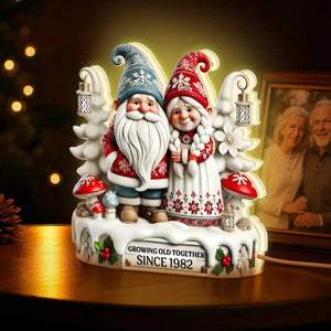 3D Effect Christmas Gnome Couple Growing Old Together - Personalized Acrylic Light Box - Christmas Gift For Couple
