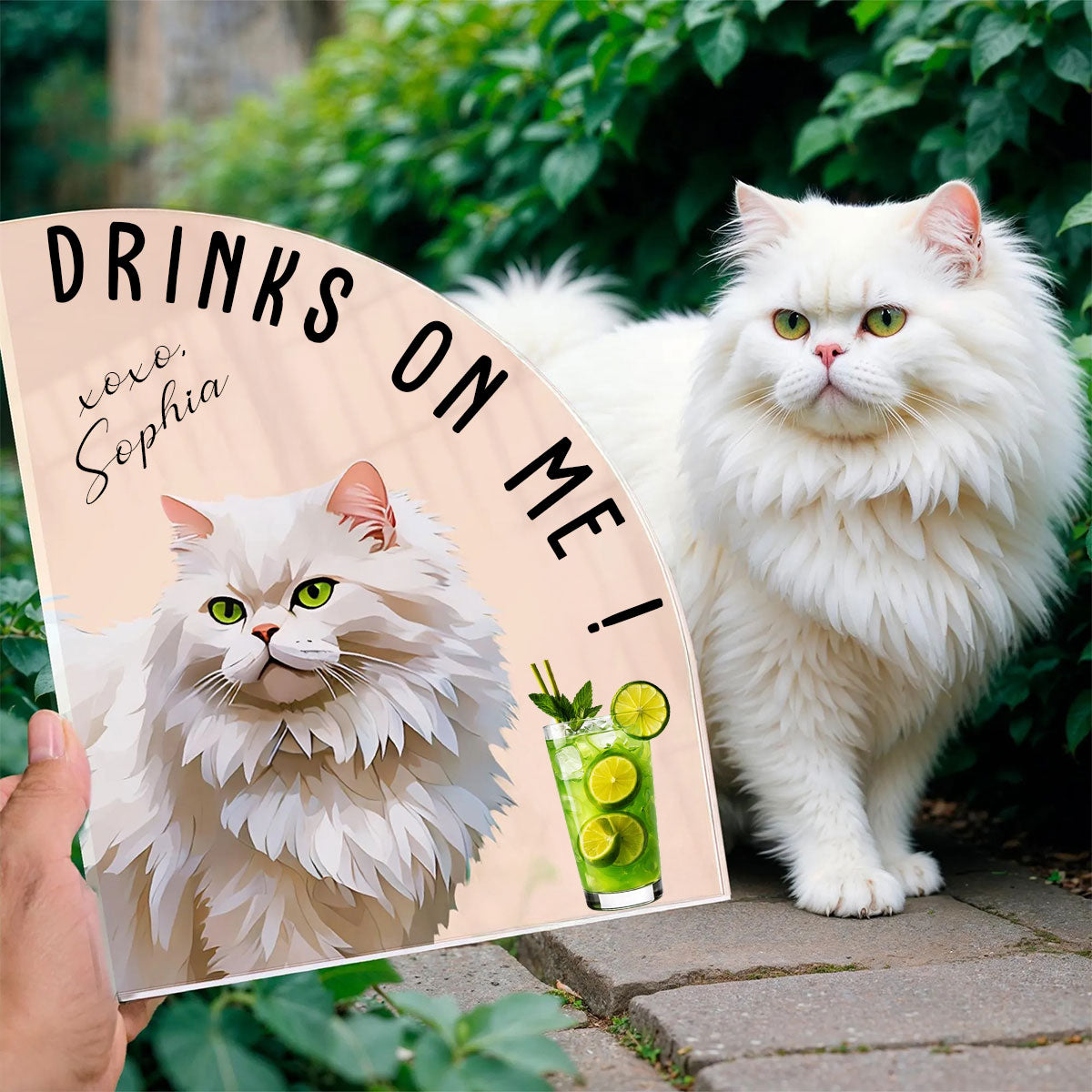 Drinks On Me Water Color Pet's Photo - Personalized Acrylic Plaque