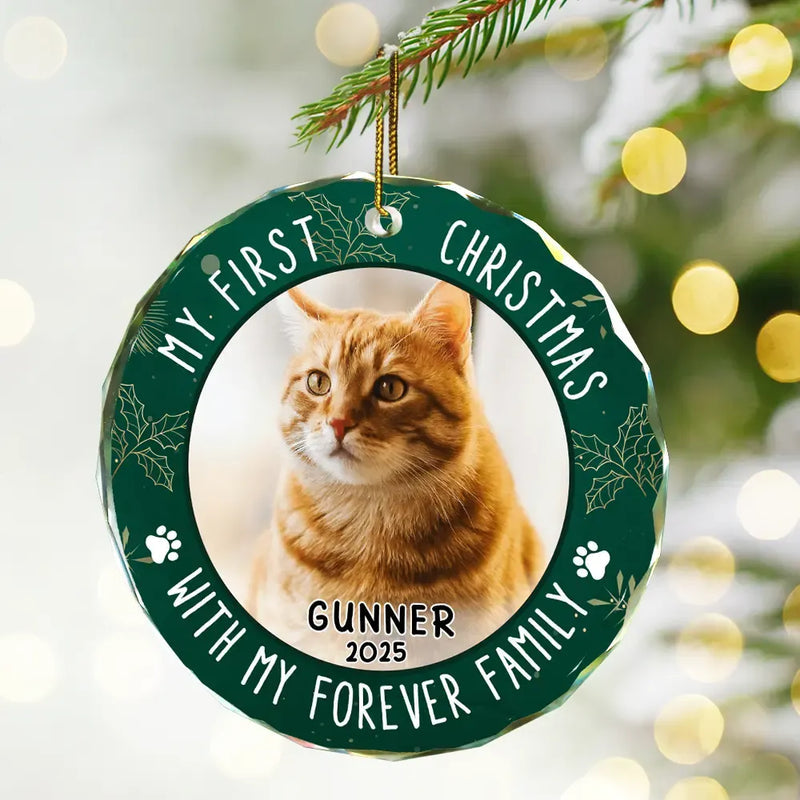 First Christmas With Family - Personalized Crystal Ornament - Gift For Pet Lovers