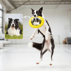 Custom Photo Frisbee, Personalized Plastic Frisbee, Perfect Gift For Outdoor Sports Enthusiasts, Unique Custom Photo Frisbee