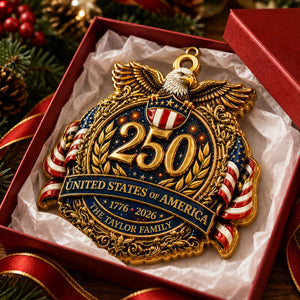 America 250 Decorations Anniversary - Real 3D Raised Ornament