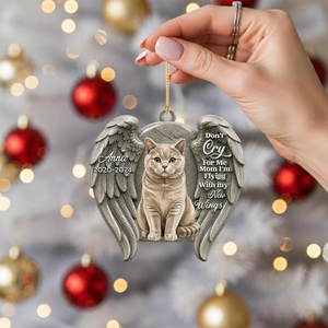 Do Not Cry For Me Christmas - Real 3D Raised Ornament