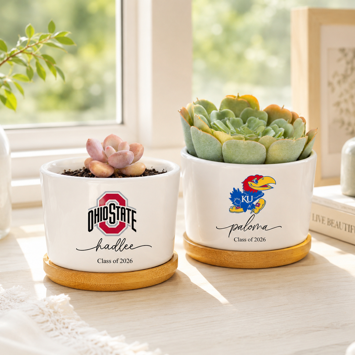 Personalized College Logo Plant Pot, University Pride Ceramic Pot, Custom 2026 Graduation Gifts, Class of 2026, College High School Grad Gifts