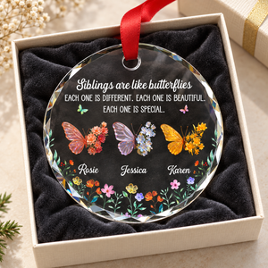 Sparkling Wings For Siblings - Personalized Glass Ornament - Christmas Gift For Family, Siblings 1c90044e-5f51-4ac3-83fb-49adf1cc236a-5.png