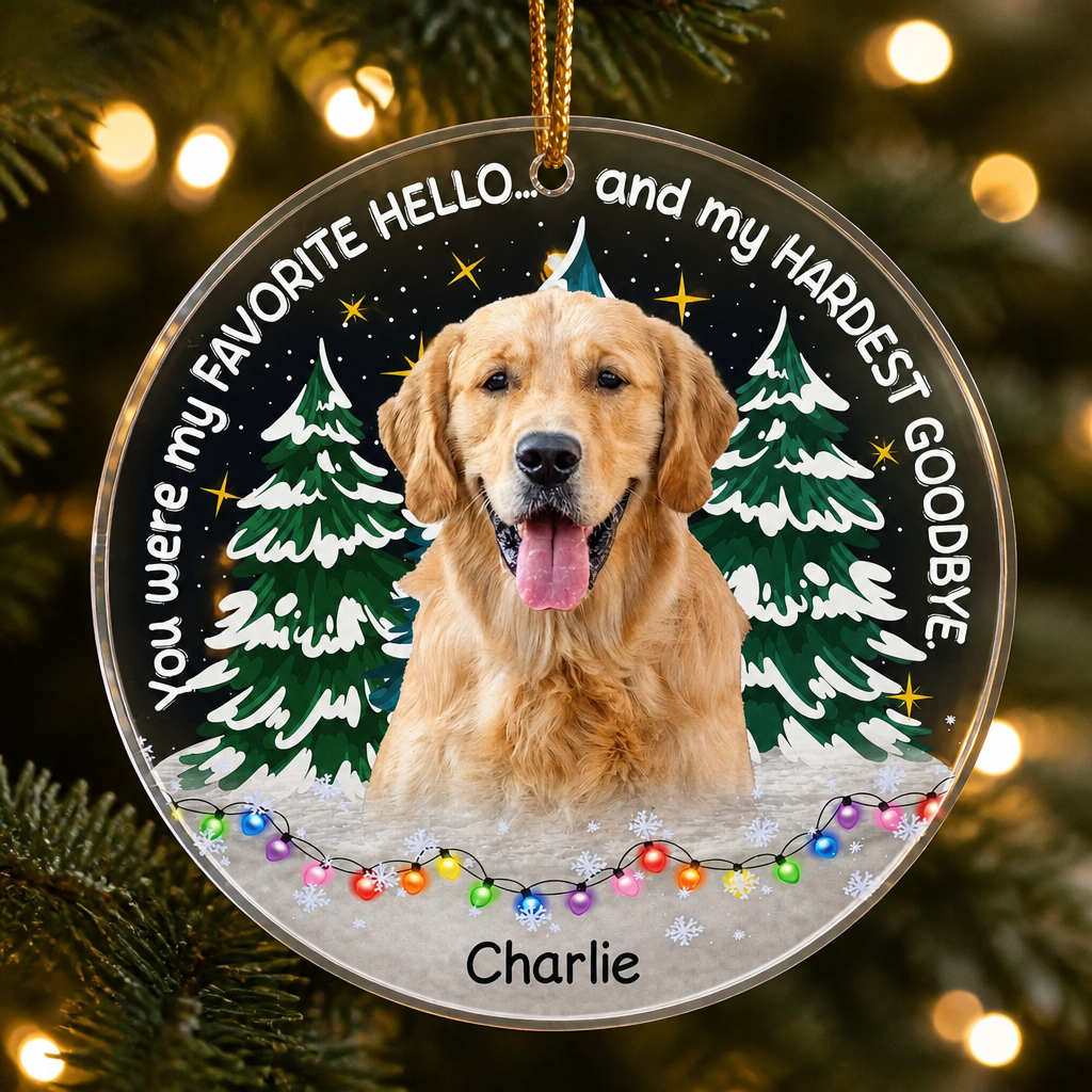 Favorite Hello Hardest Goodbye - Pet Photo Memorial Ornament - Personalized Transparent Acrylic Ornament 1e4fdf2f-b215-47d1-b159-952997415071.png
