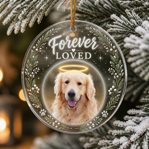 Forever Loved Pet Memorial Photo Acrylic Ornament - Personalized Transparent Acrylic Ornament 1f3a292d-94ac-45e2-a431-40e31c9f503e.jpg