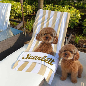 Personalised Pet Photo Stripe Soft Quick Dry Oversized Beach Towel with Name Summer Travel Vacation Essential Birthday Gift for Pet Lovers