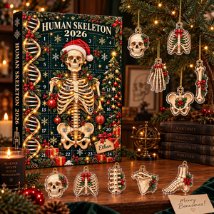 Human Skeleton Advent Calendar 2026, Anatomy Christmas Countdown Box, 24 Bone Ornaments, Medical Science Holiday Decor, Student Gift 2026 21616e56-a0a9-4e4d-8733-54256ce8cac2-2819fbcb-f8c4-486c-8f1e-c50af1a24eae.png