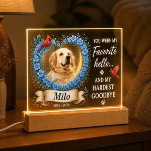 Pet Memorial Acrylic Night Light – Favorite Hello - Personalized Acrylic Night Light 21a56dd6-d91a-4872-8408-05af5628433a.jpg