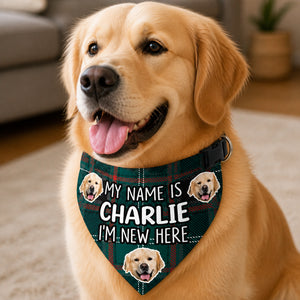 New Puppy Intro Photo Bandana – My Name Is [Pet Name] - Personalized Pet Bandana Collar With Adjustable Buckle 224ccc14-2e6b-42b3-883a-d66b28598927.jpg
