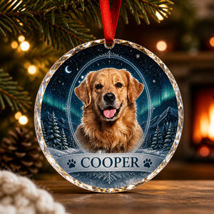 Custom Pet Photo Crystal Ornament – Winter Night Cameo - Personalized Crystal Ornament 22706194-6e52-4525-8252-b4ac1836782a.jpg