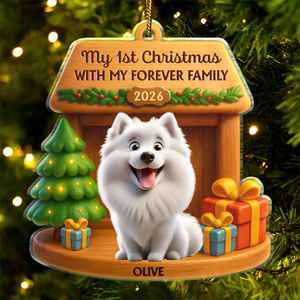 My First Christmas With My Forever Family - Personalized Custom Shaped Acrylic Ornament
